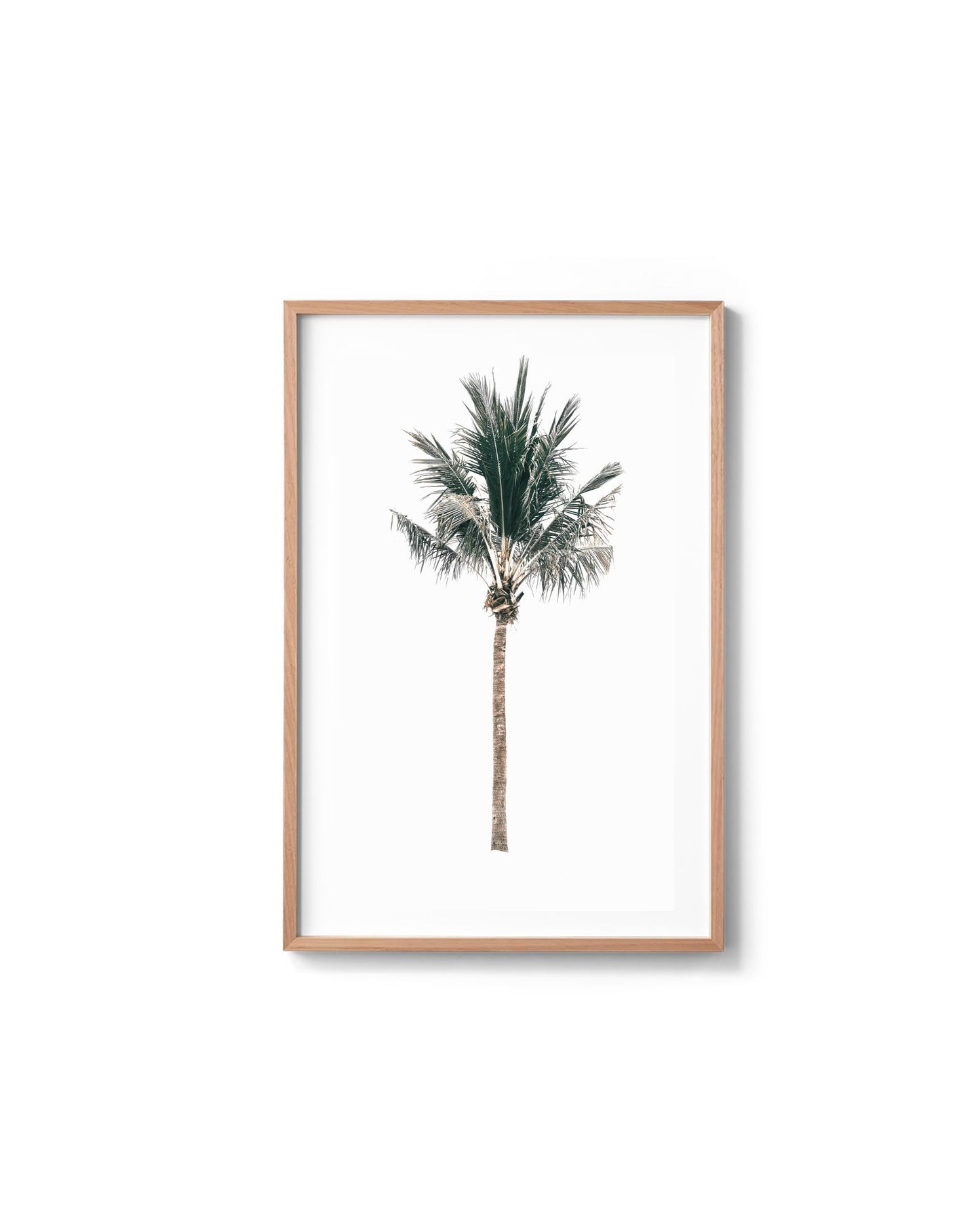 The Palm