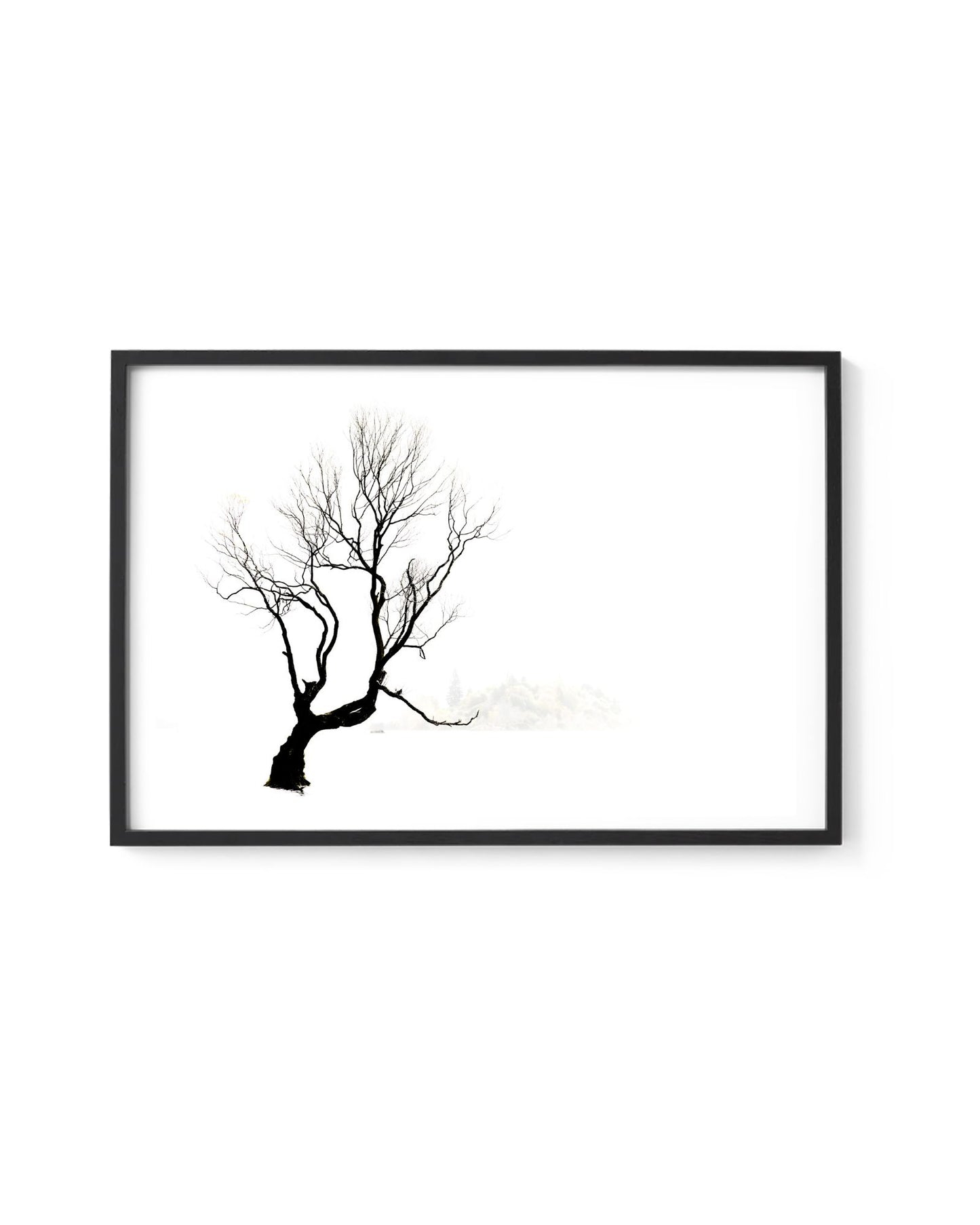 Wanaka Mist