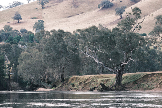 Whispers of the Murrumbidgee