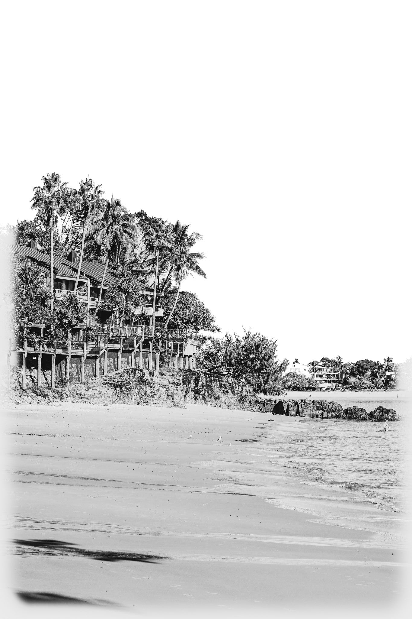 Black and white photo of a beach with palm trees and buildings.