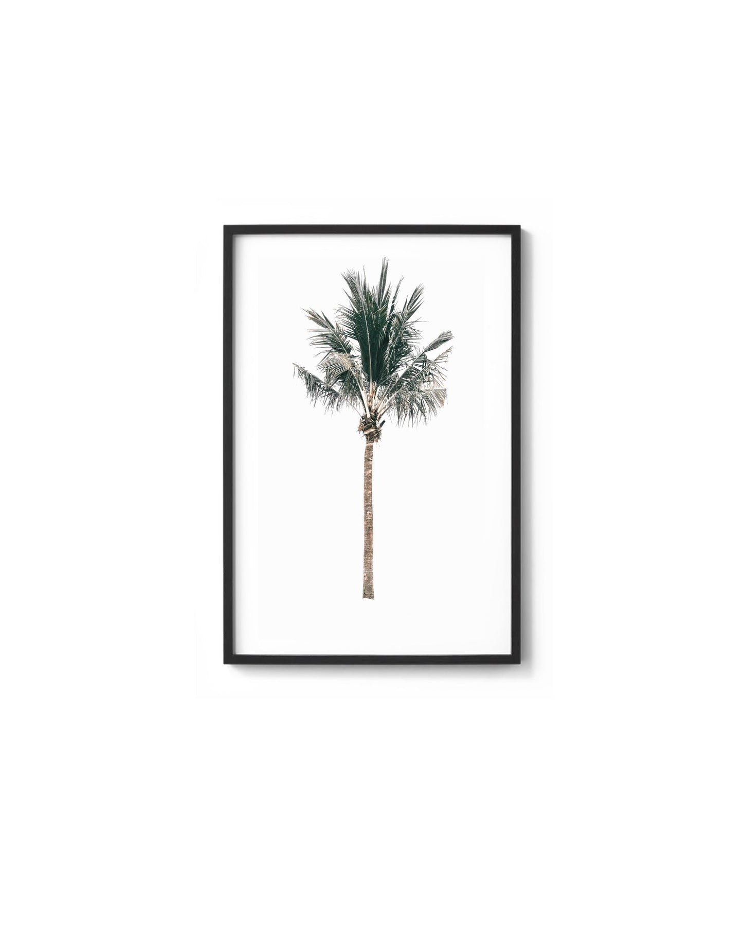 The Palm