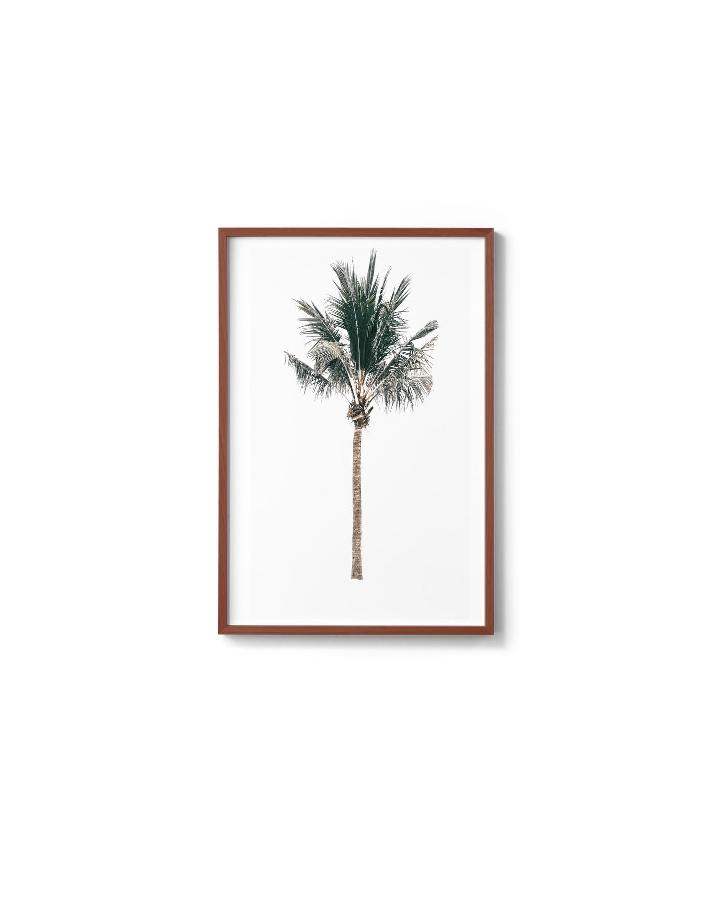 The Palm