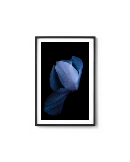 Sapphire Dream