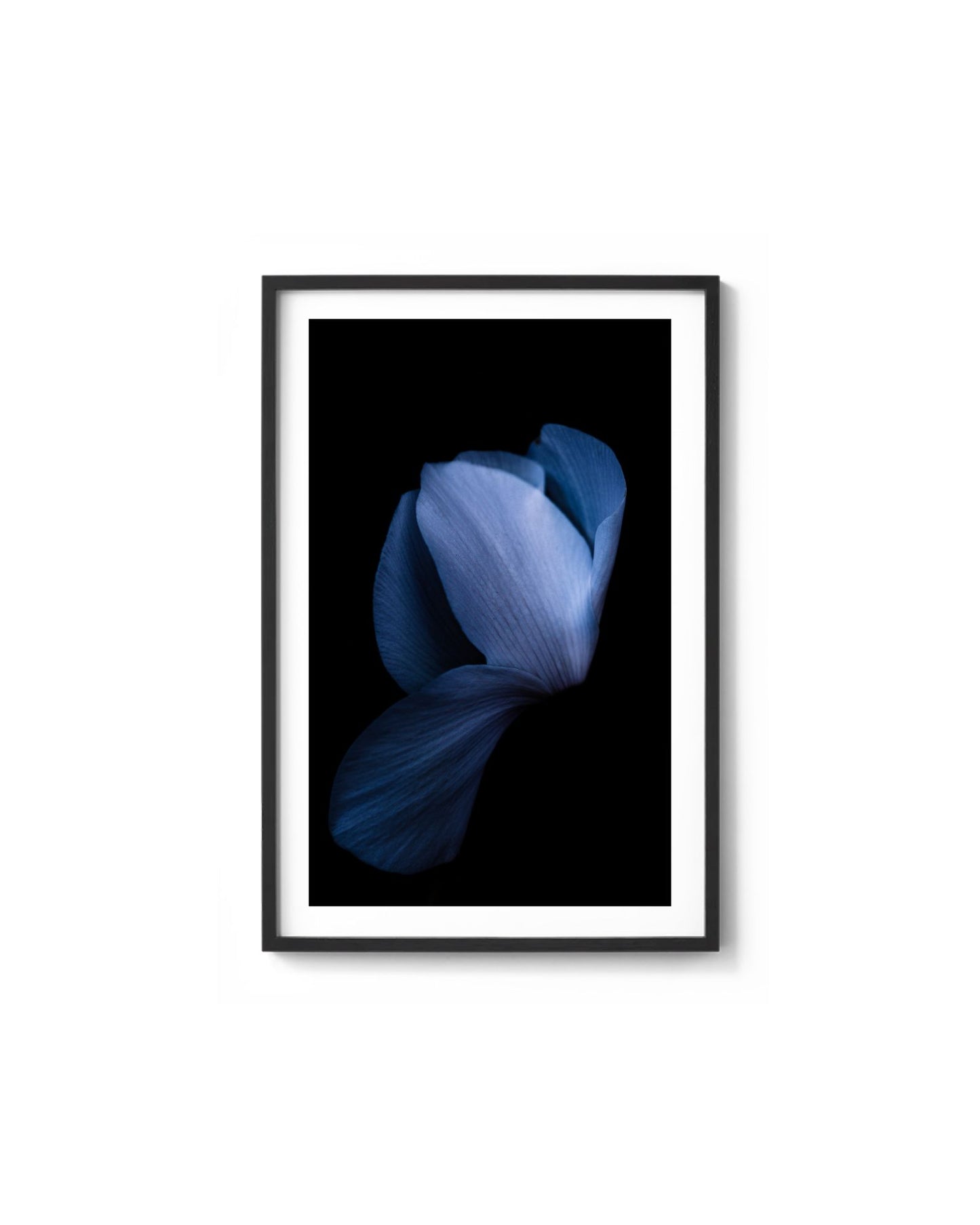 Sapphire Dreams