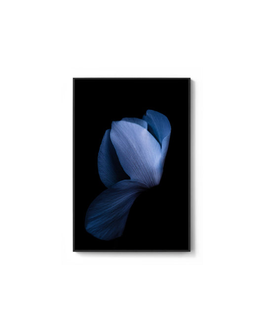 Sapphire Dream