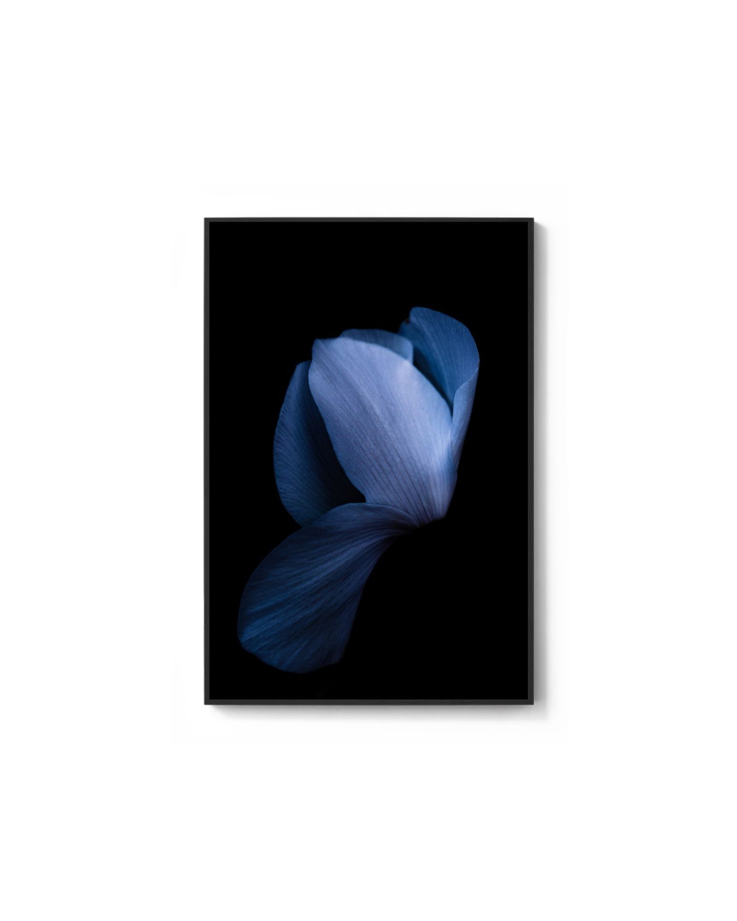 Sapphire Dreams