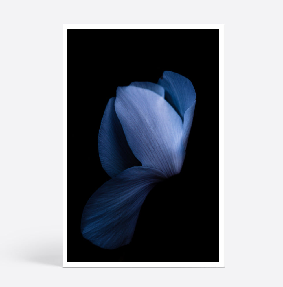 Sapphire Dreams
